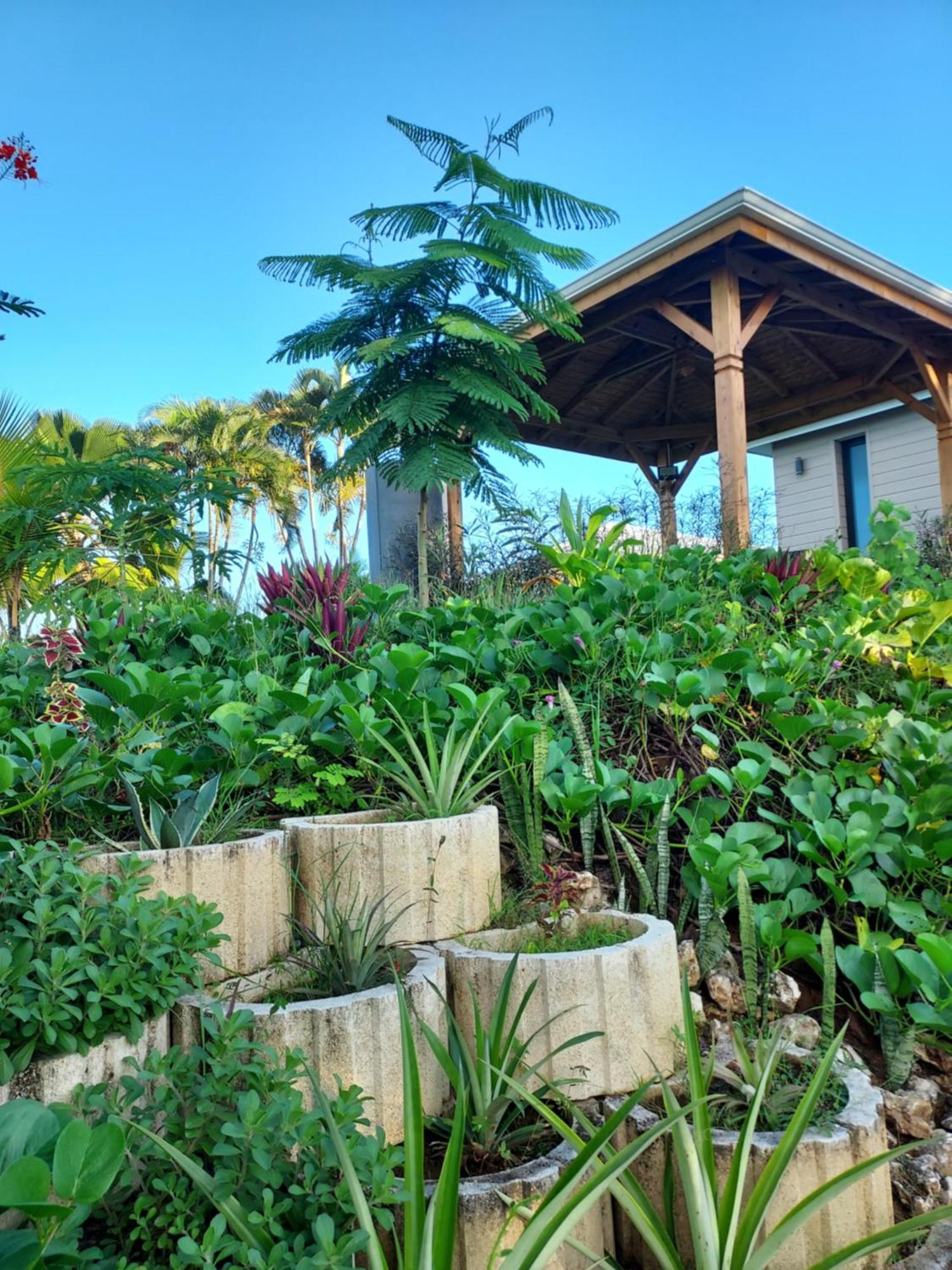 Le Petit Paradis Sainte-Rose Exterior foto